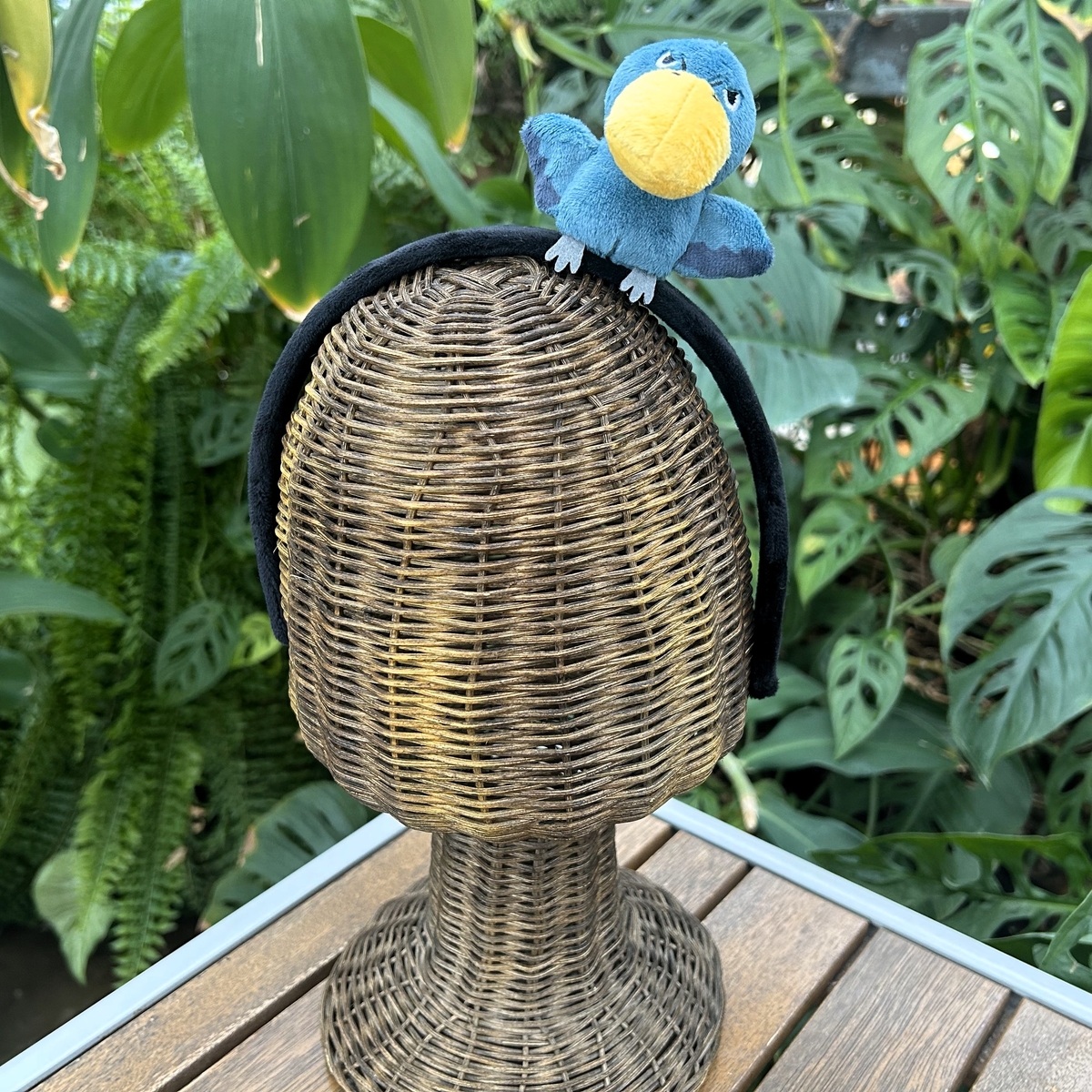 カチューシャ ハシビロコウ | 神戸どうぶつ王国NS